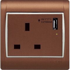 13 amp socket with USB VISION input