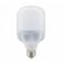 LED Jumbo Bulb 30W,